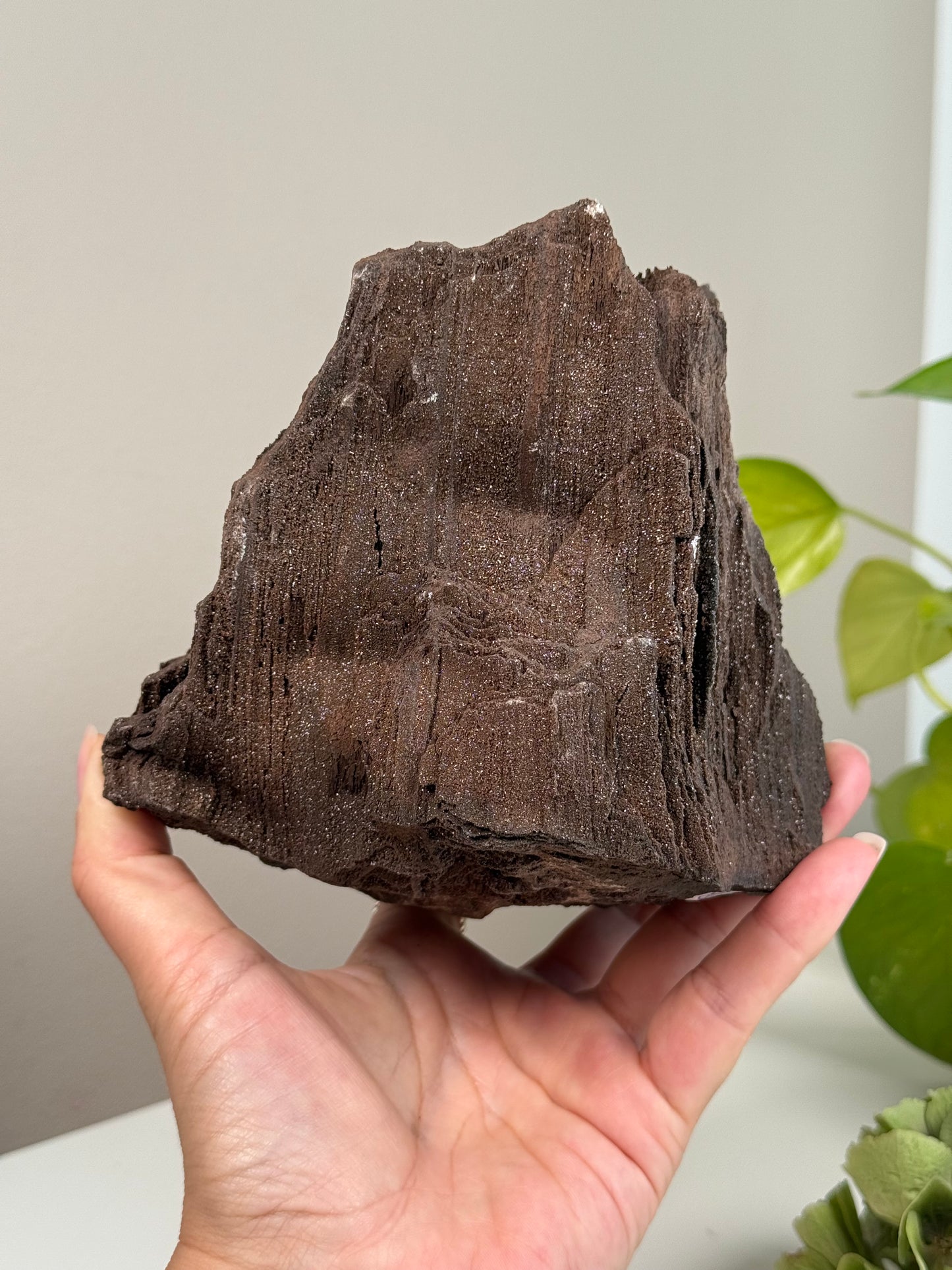 Feenholz