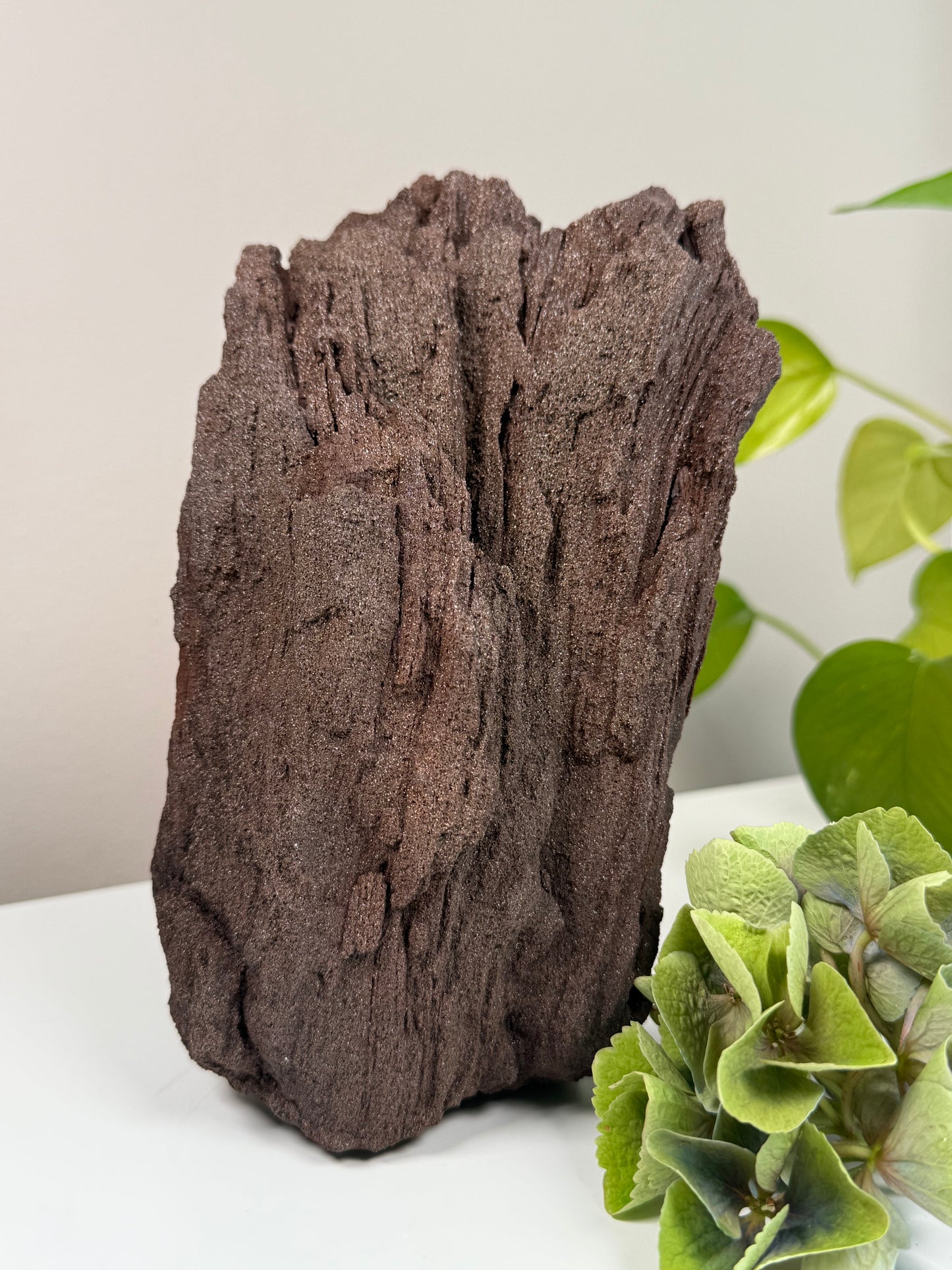 Feenholz