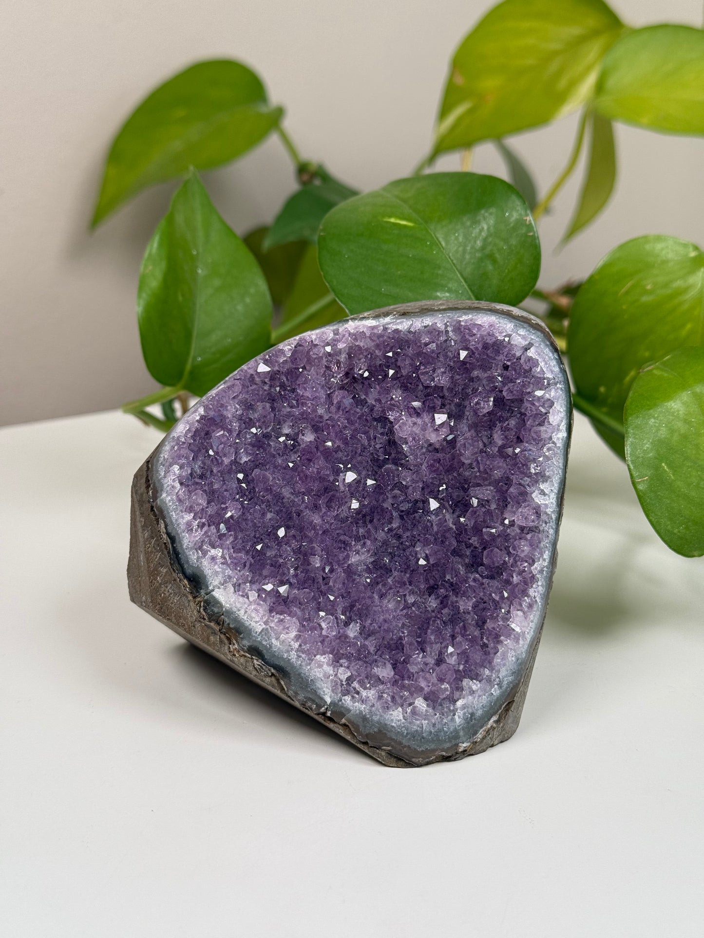 Amethyst Druse