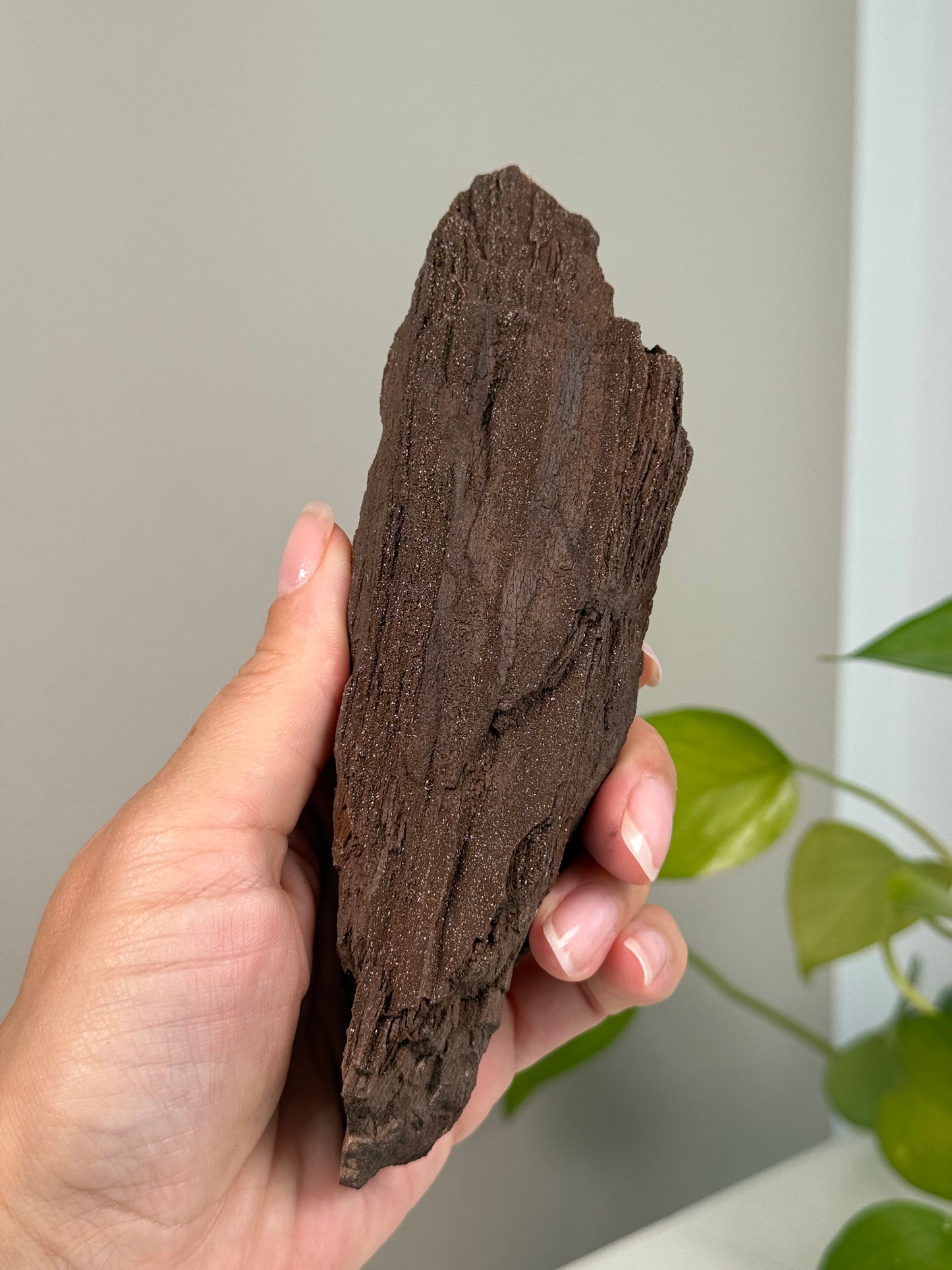 Feenholz