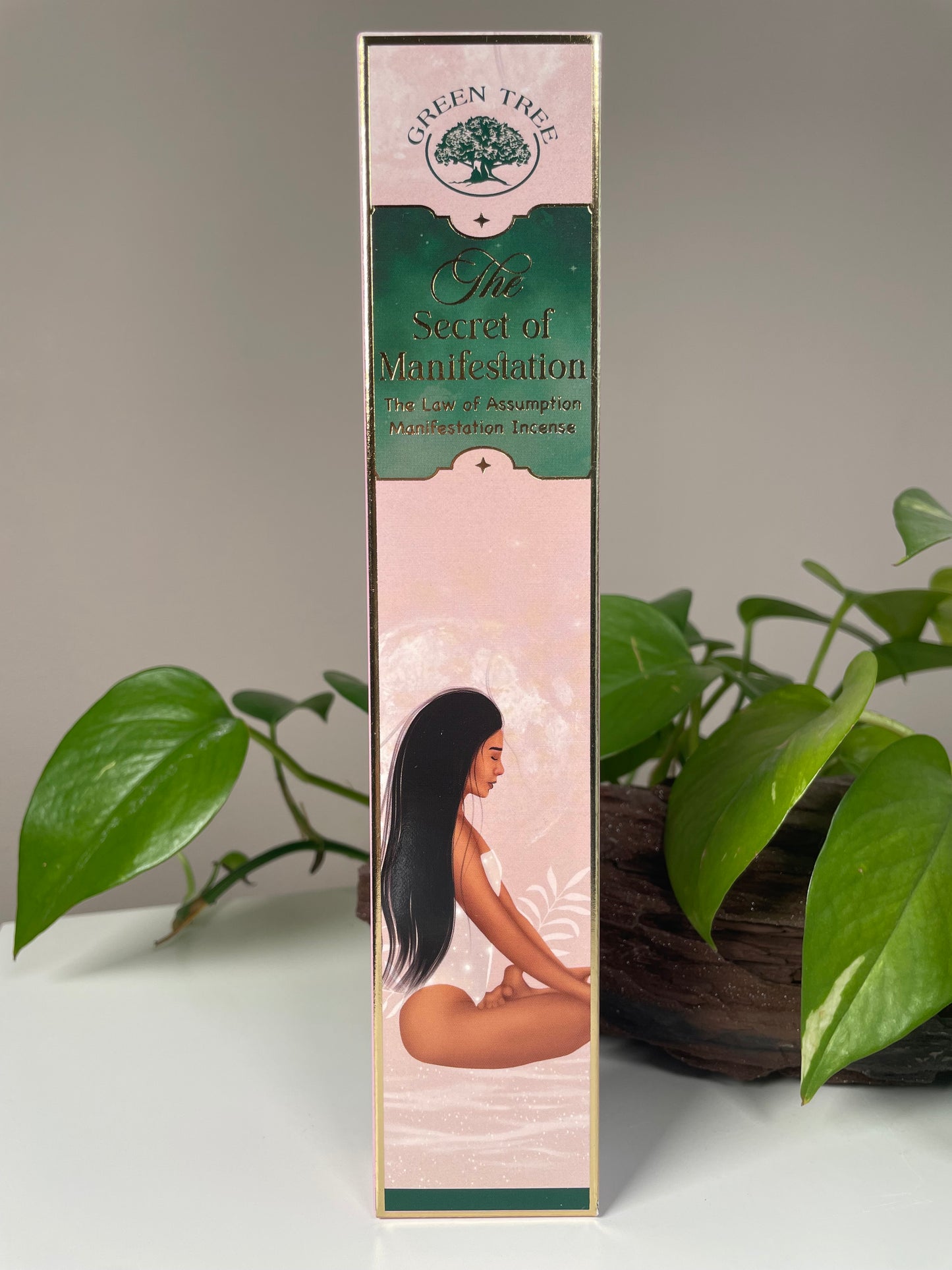 The Secret of Manifestation