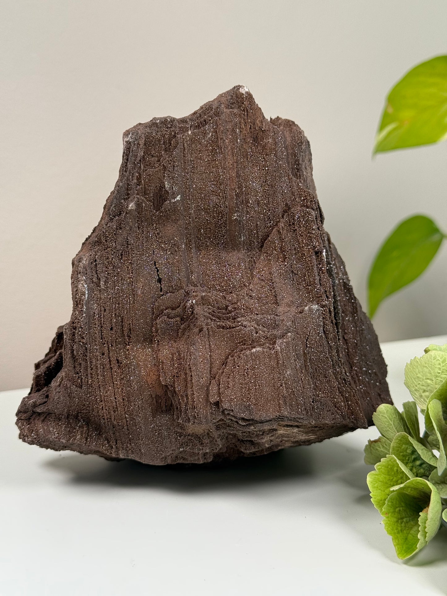 Feenholz