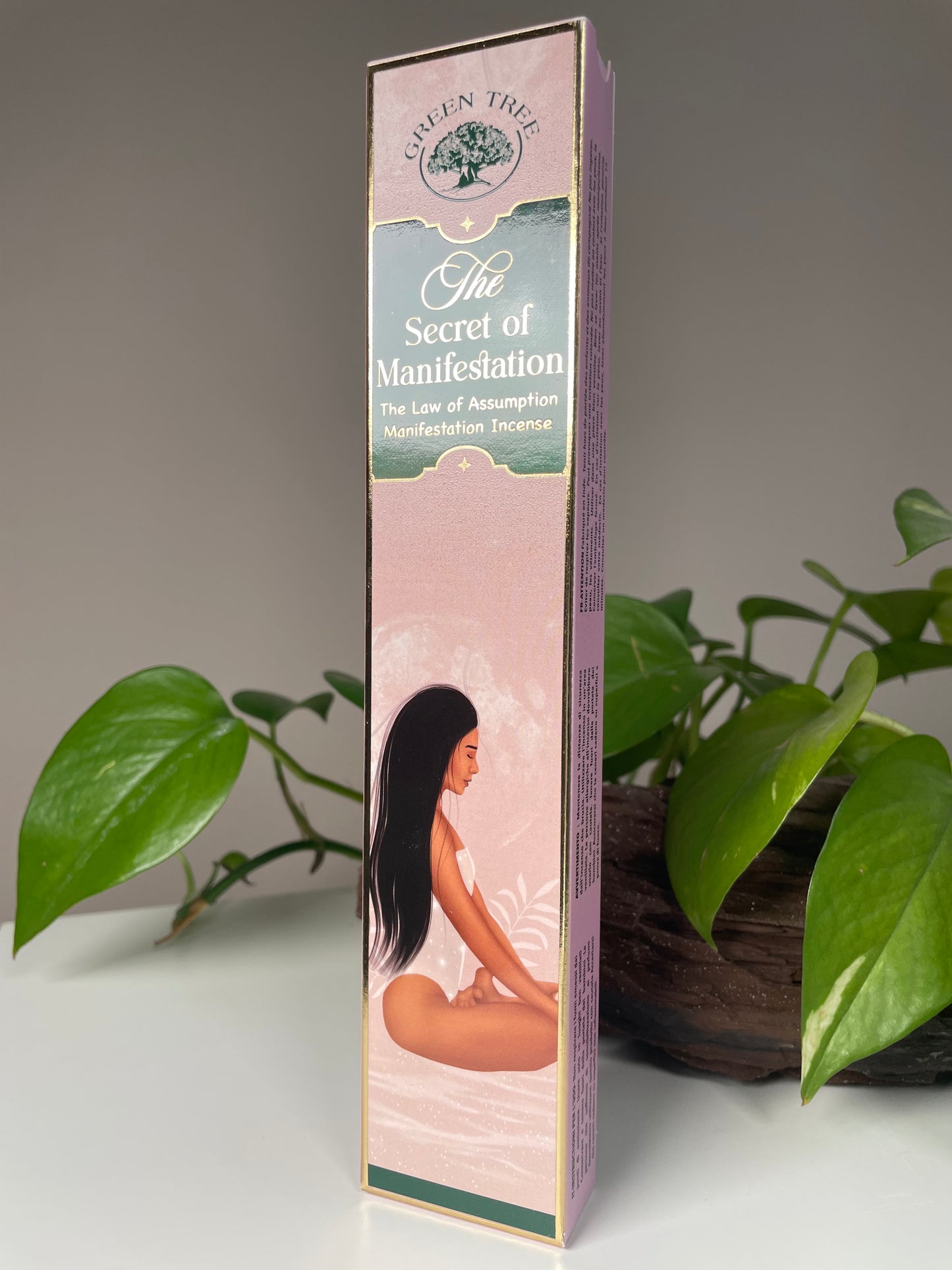 The Secret of Manifestation