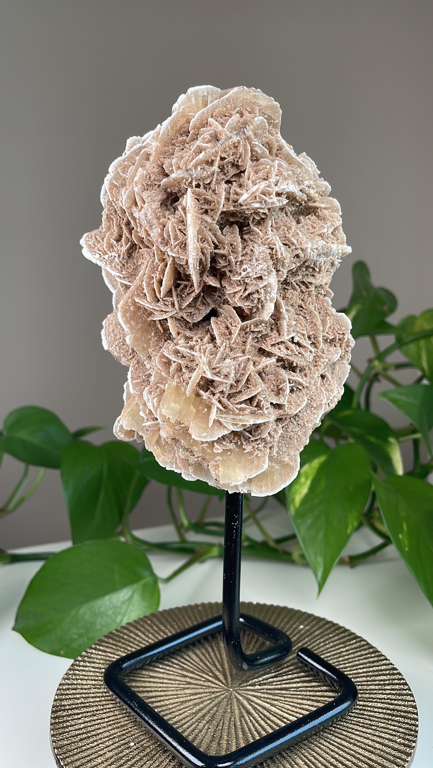 Sandrose auf Ständer