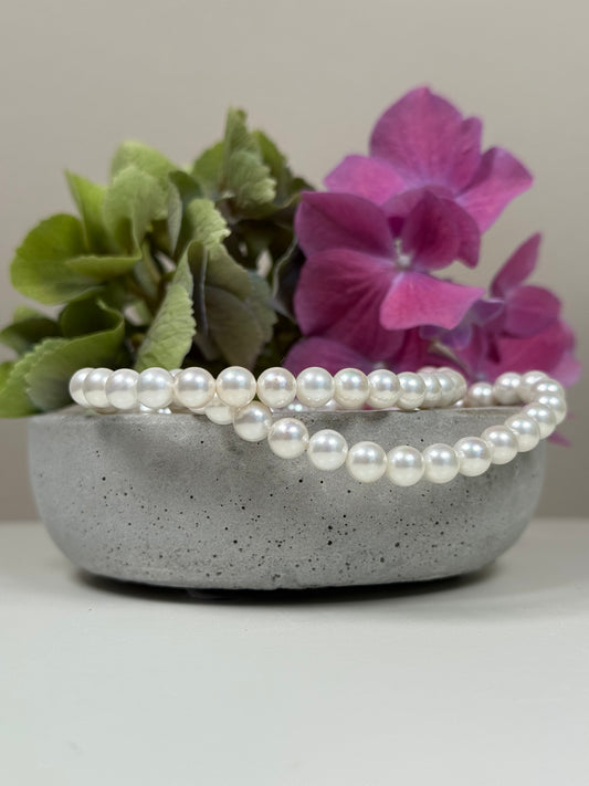 Muschelkern Armband
