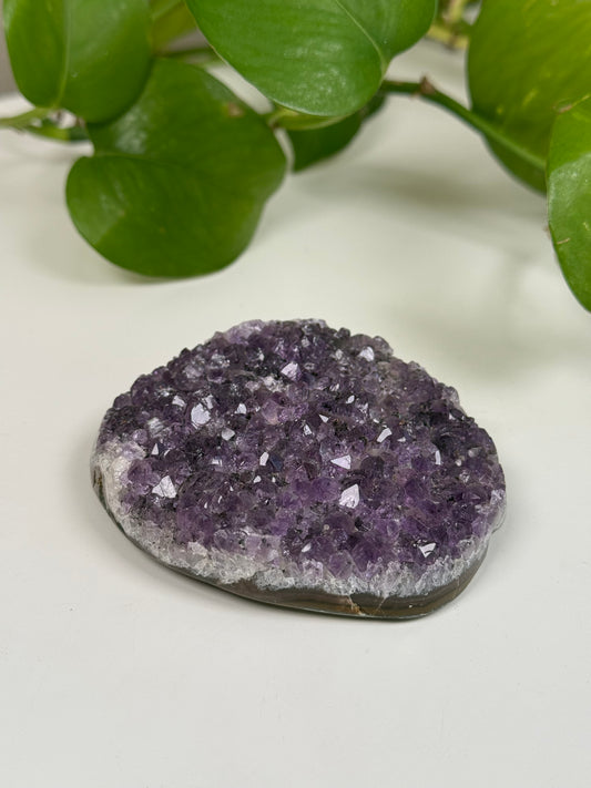 Amethyst Druse