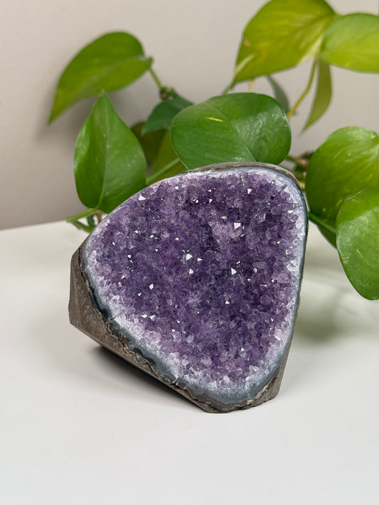 Amethyst Druse