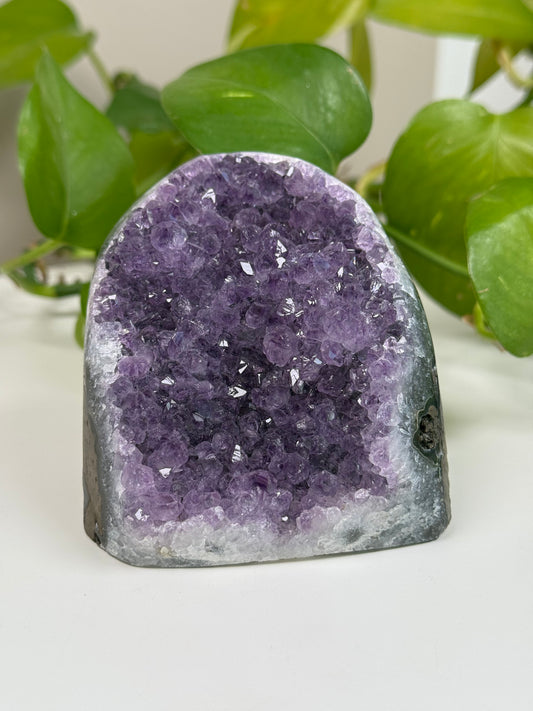 Amethyst Druse