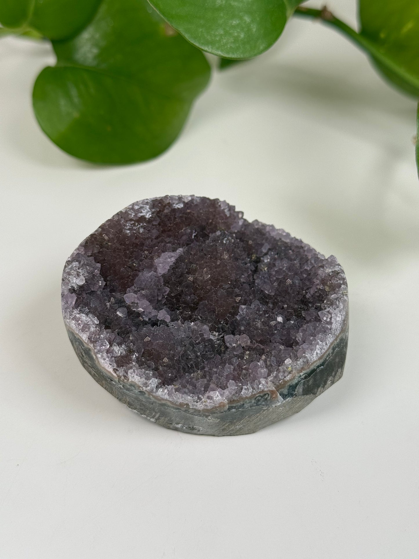 Amethyst Druse