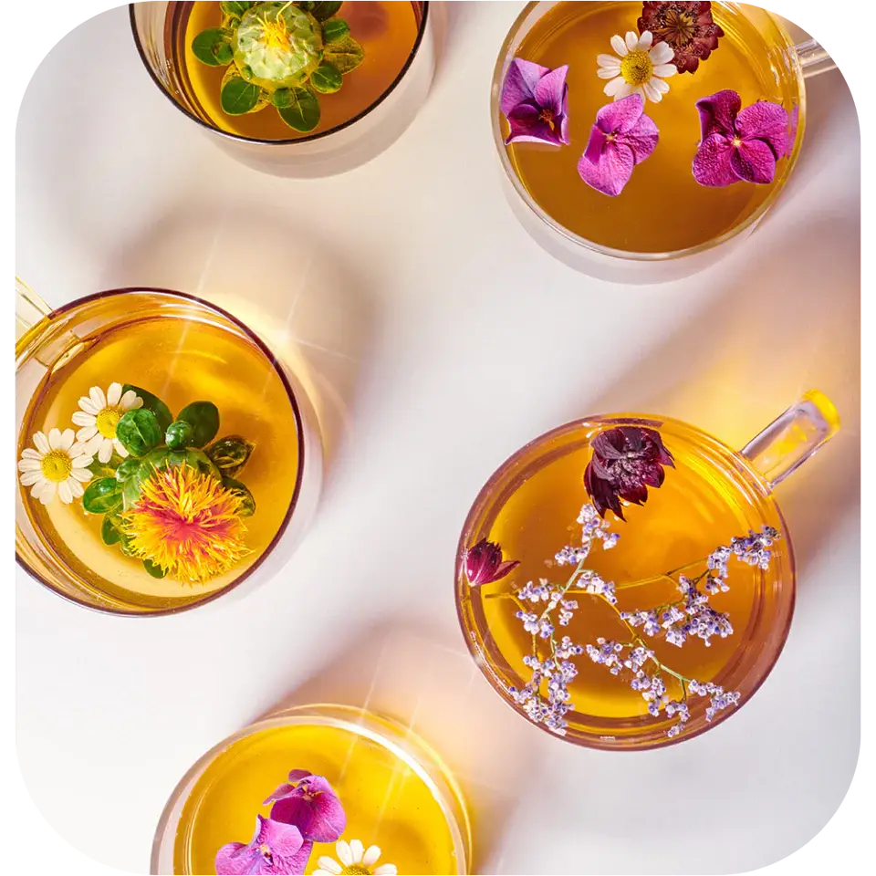 Detox-Tee „The Big Cleanse“